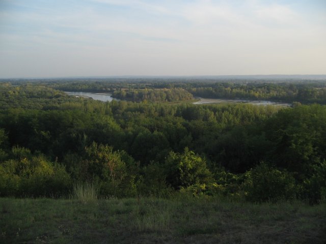 finnek 2011 028
